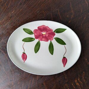 RARE Vintage Stetson China Co "Rio" Hand-Painted Oval Platter Rose Green White